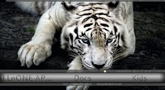 Ice Tigris Build 1