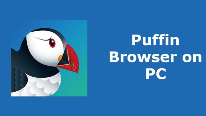 puffin web browser download apk