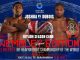 How to Watch Joshua vs Dubois Free on Firestick & Android TV