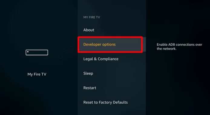 Click Developer Options